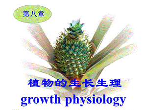 《植物的生长生理》PPT课件.ppt