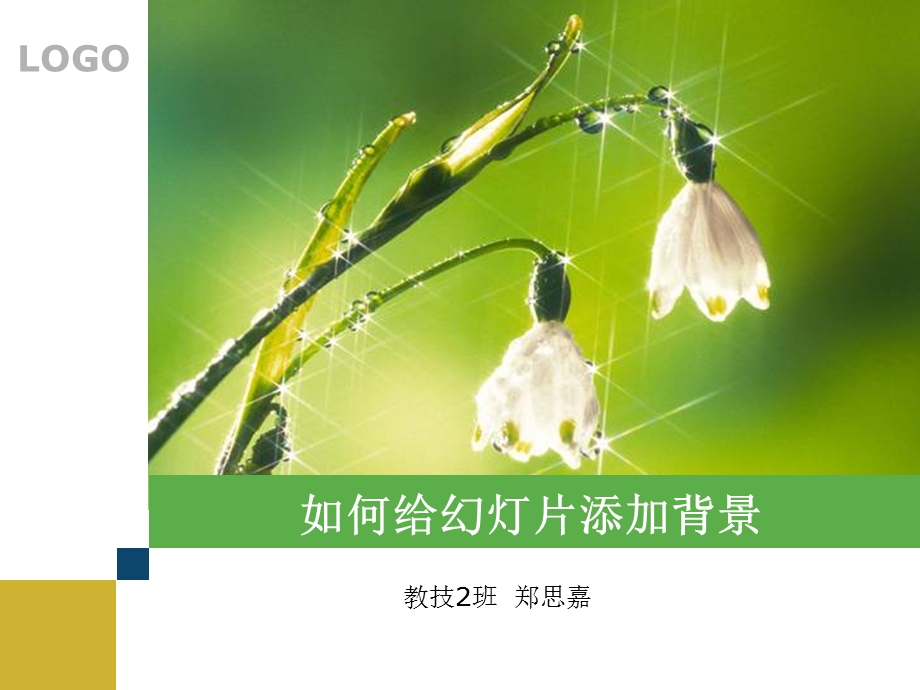 如何给幻灯片添加背景.ppt_第1页