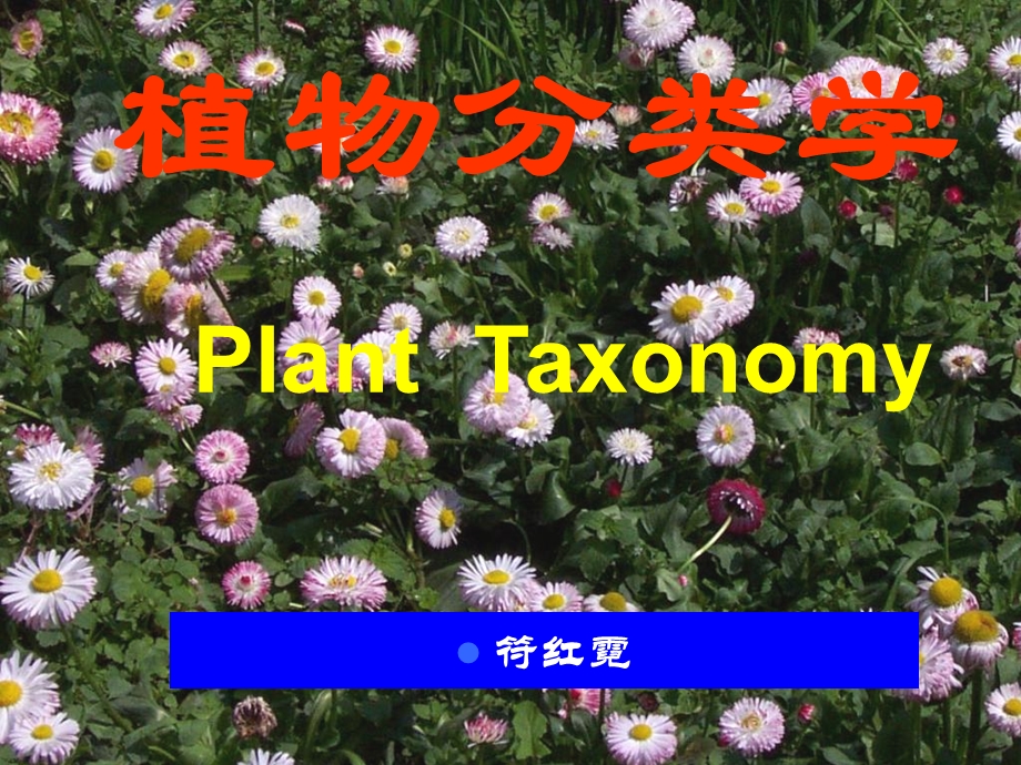 《植物分类基础》PPT课件.ppt_第1页