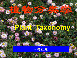 《植物分类基础》PPT课件.ppt