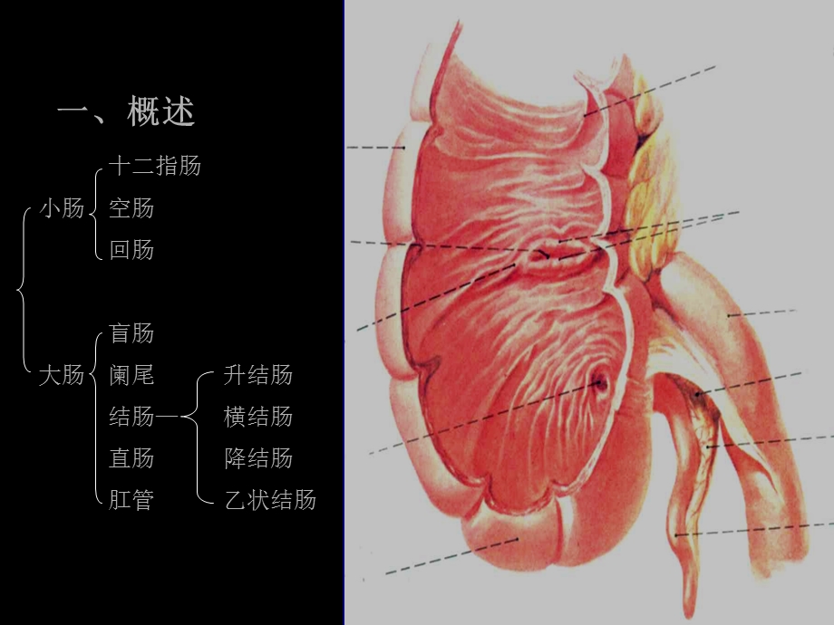 中国医科大学附属第一医院.ppt_第3页