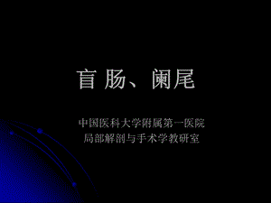 中国医科大学附属第一医院.ppt