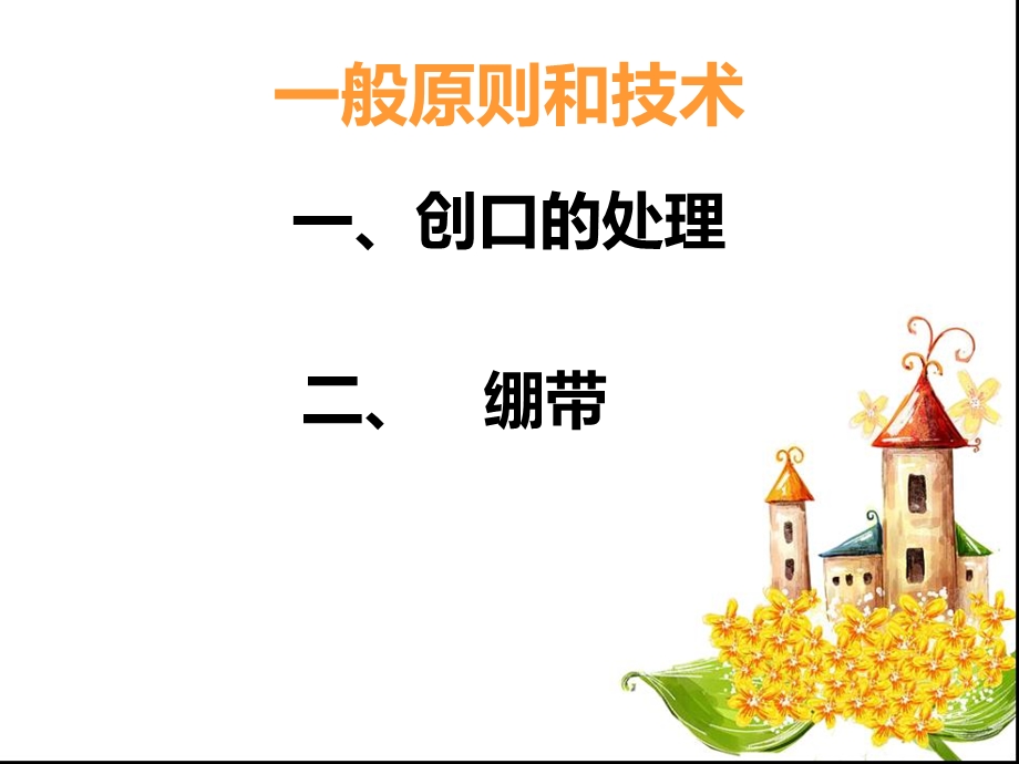 《皮肤系统外科》PPT课件.ppt_第2页