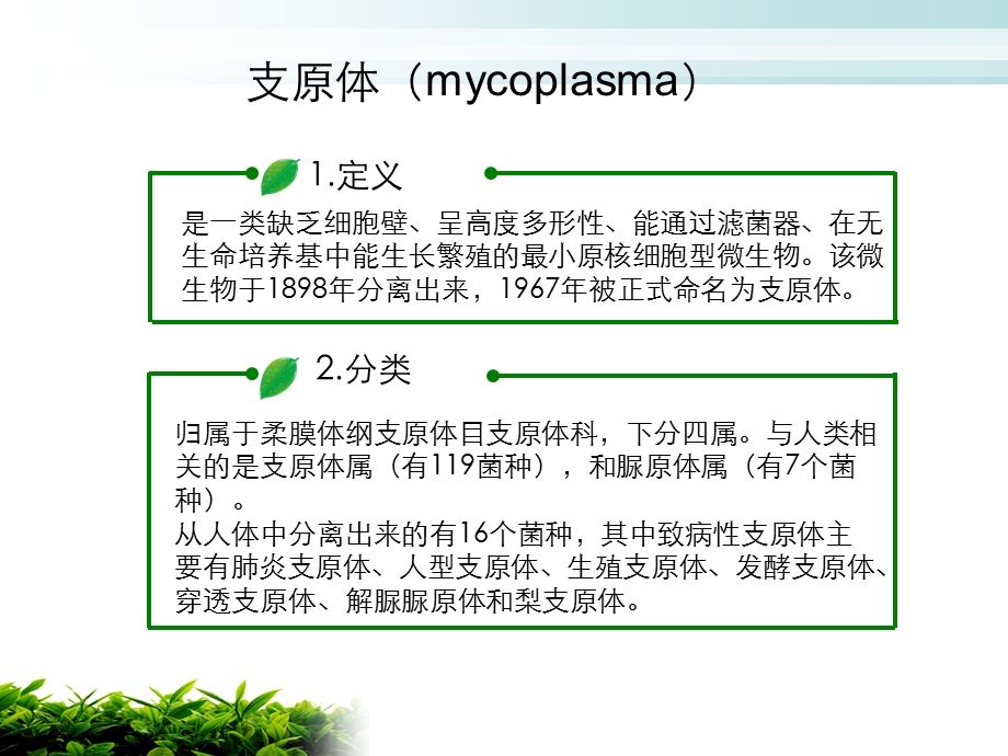 《支原体及衣原体》PPT课件.ppt_第2页