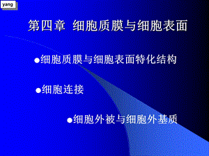 《细胞知识》PPT课件.ppt