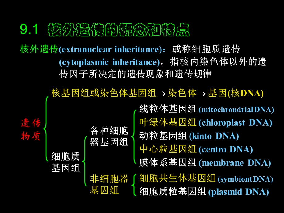 《核外遗传》PPT课件.ppt_第2页