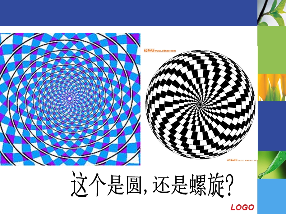 《科学入门教学》PPT课件.ppt_第3页