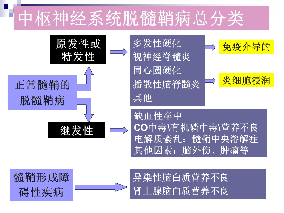 《脱髓鞘病讲座》PPT课件.ppt_第2页