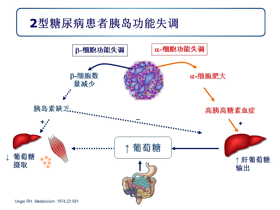 药剂科学术幻灯(推荐药剂科圆桌会使用,非GSA).ppt_第3页