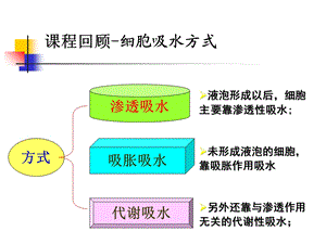 《根系对水分的吸收》PPT课件.ppt