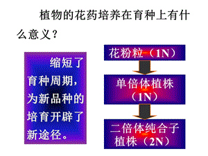 3.2月季的花药培养课件辛越权[精选文档].ppt