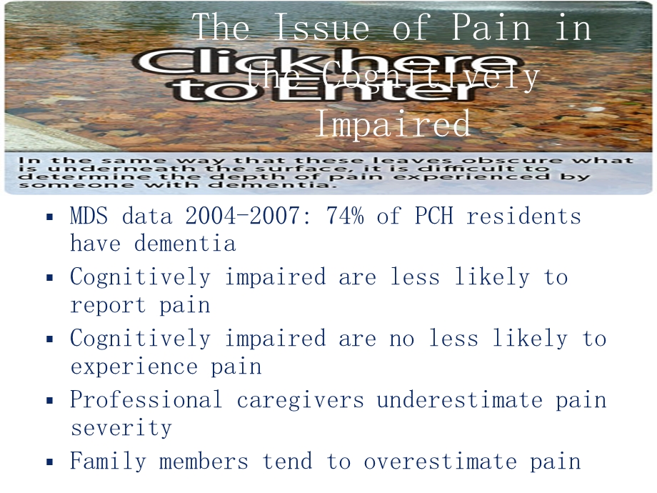 PAIN ASSESSMENT TOOLWinnipeg Health Region疼痛评估工具温尼伯卫生区文档资料.ppt_第2页