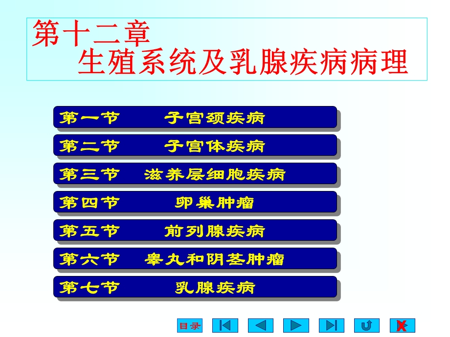 09生殖系统及乳腺疾病文档资料.ppt_第1页