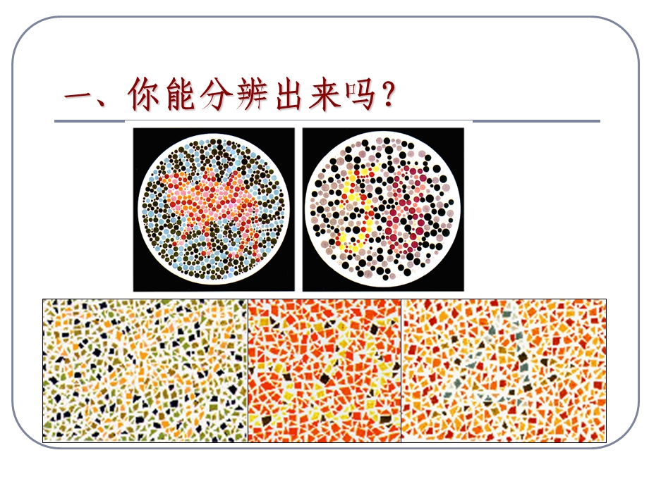 医学课件第3节伴性遗传.ppt_第3页