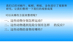 最新人教版三年级上册科学第二单元7、动物有哪些相同特..ppt