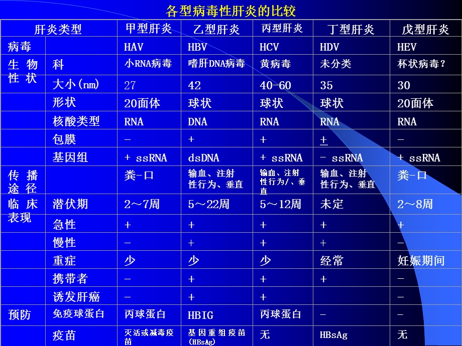 肝炎病毒ppt课件文档资料.ppt_第2页