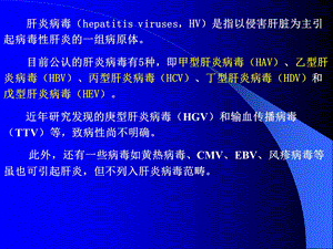 肝炎病毒ppt课件文档资料.ppt