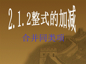 2.2整式的加减4[精选文档].ppt