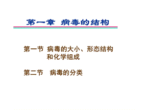 医学课件第二十一章病毒的结构.ppt