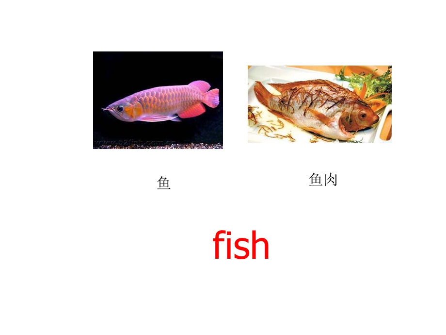 三年级下册英语课件－Lesson 15 What’s Your Favourite Food｜冀教版 (共13张PPT).ppt_第3页