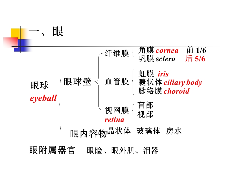 医学课件第9章眼和耳ppt课件.ppt_第2页