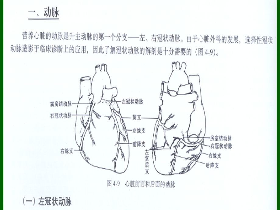 冠状动脉粥样硬化性心脏病冠心病的超声诊断韩建一名师编辑PPT课件.ppt_第3页