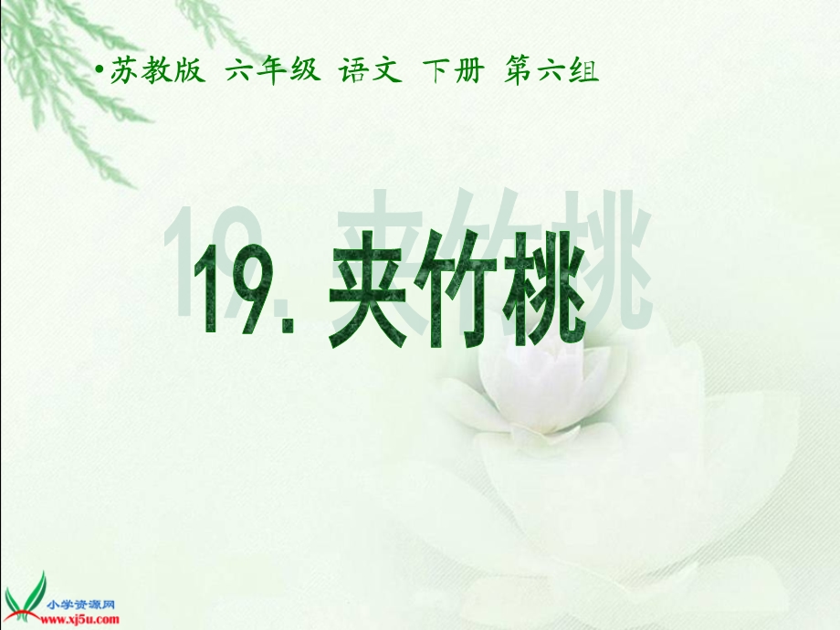 19夹竹桃[精选文档].ppt_第1页