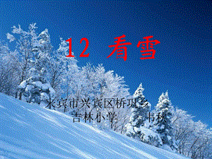 12看雪课件[精选文档].ppt