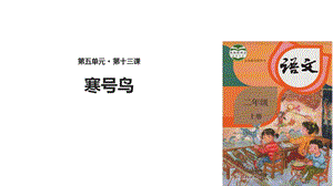 【优选】二年级上册语文课件13 寒号鸟∣人教部编版(共13张PPT)教学文档.ppt