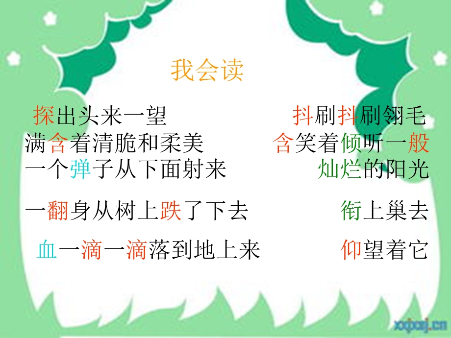 一只小鸟课件完整稿(120).ppt_第3页