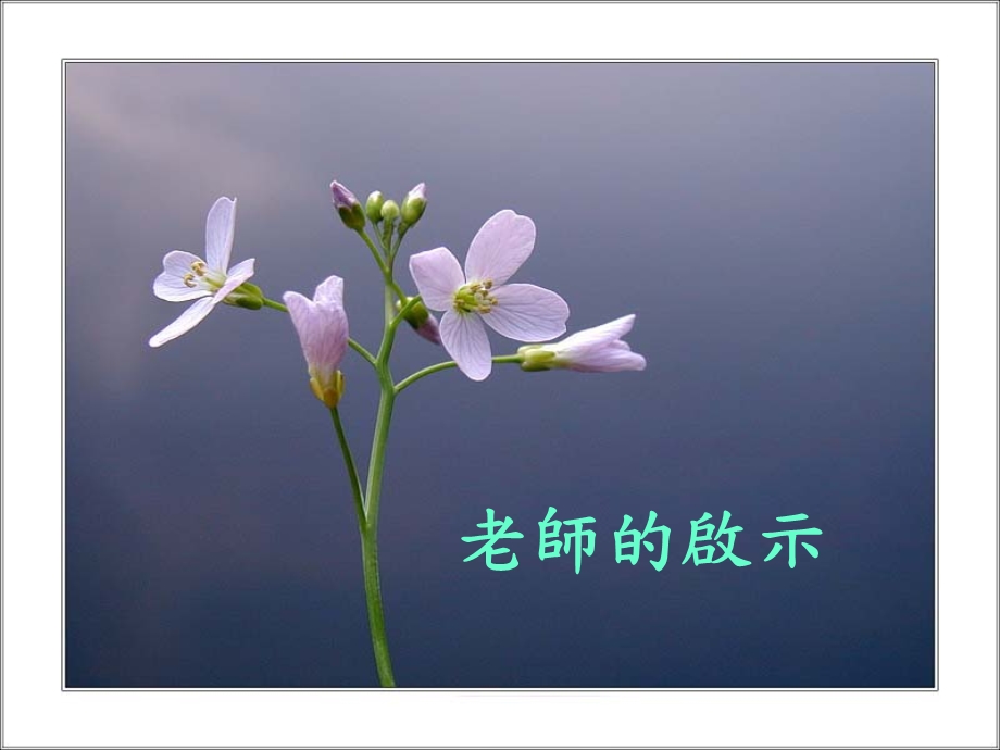 一个老师的启示1.ppt_第1页