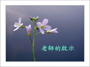 一个老师的启示1.ppt