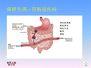 ppt医院 5.24消化科PPT文档.ppt