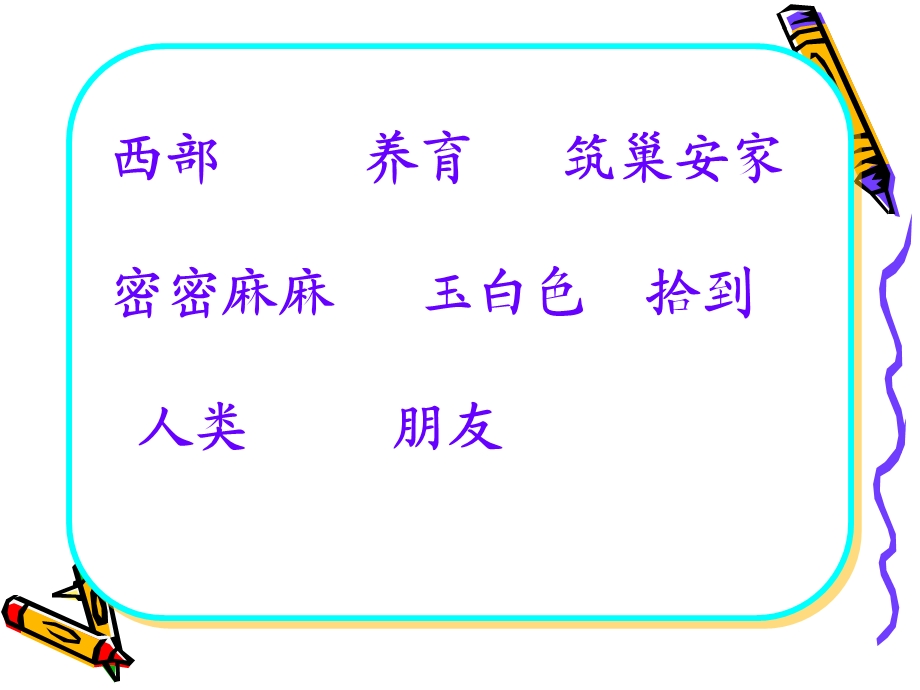 《鸟岛》PPT课件.ppt_第3页