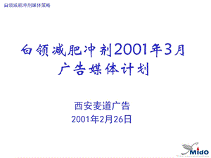 医学课件白领减肥冲剂广告媒体计划.ppt