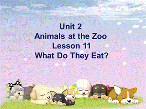 三年级下册英语课件Unit 2 Animals at the Zoo Lesson 11 What Do They Eat？ 1｜冀教版三起(共18张PPT).ppt