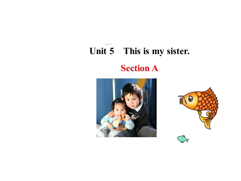 鲁教版(五四制)六年级英语上册精品课件Unit 5 This is my sister Section A.ppt_第1页