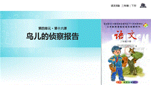 三年级下册语文课件16鸟儿的侦察报告∣语文S版 (共13张PPT).ppt