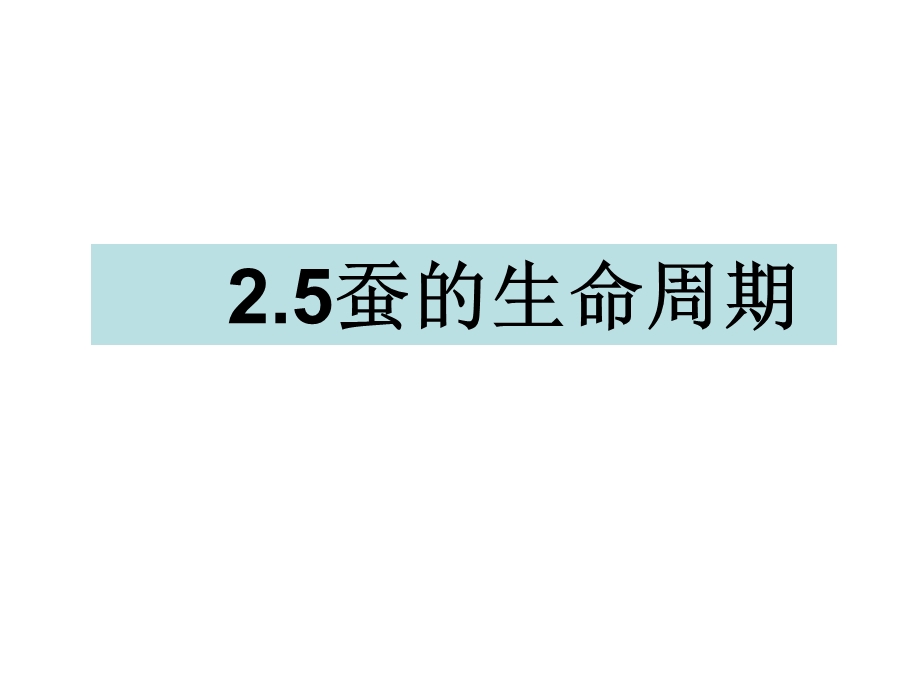 三年级下册科学课件2.5蚕的生命周期 教科版(共14张PPT).ppt_第1页