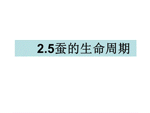 三年级下册科学课件2.5蚕的生命周期 教科版(共14张PPT).ppt