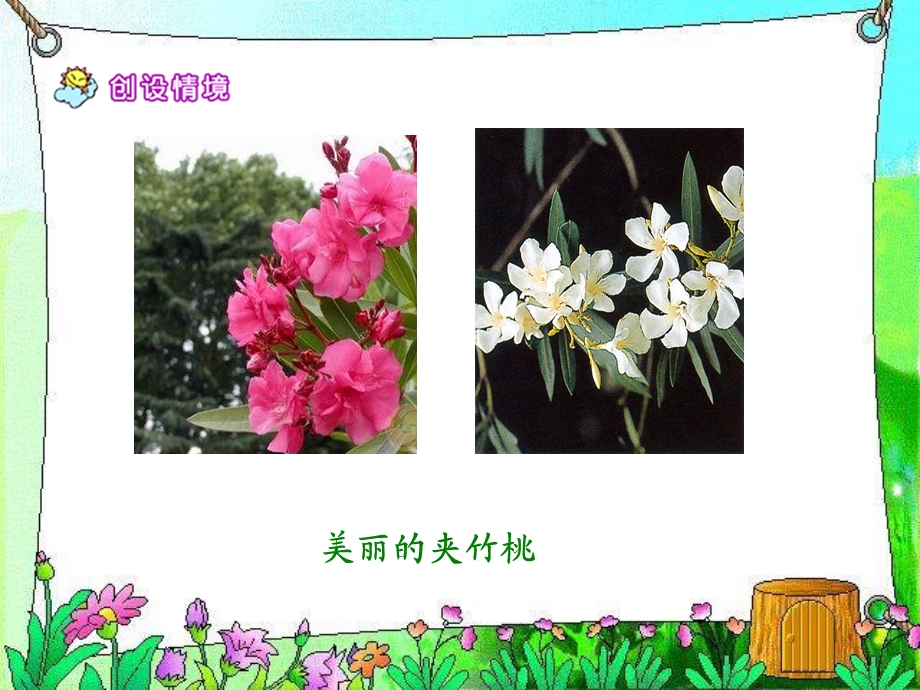 19夹竹桃(6)[精选文档].ppt_第2页