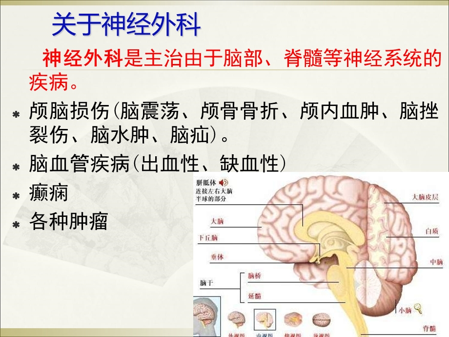 医学课件神经外科常见药物.ppt_第2页