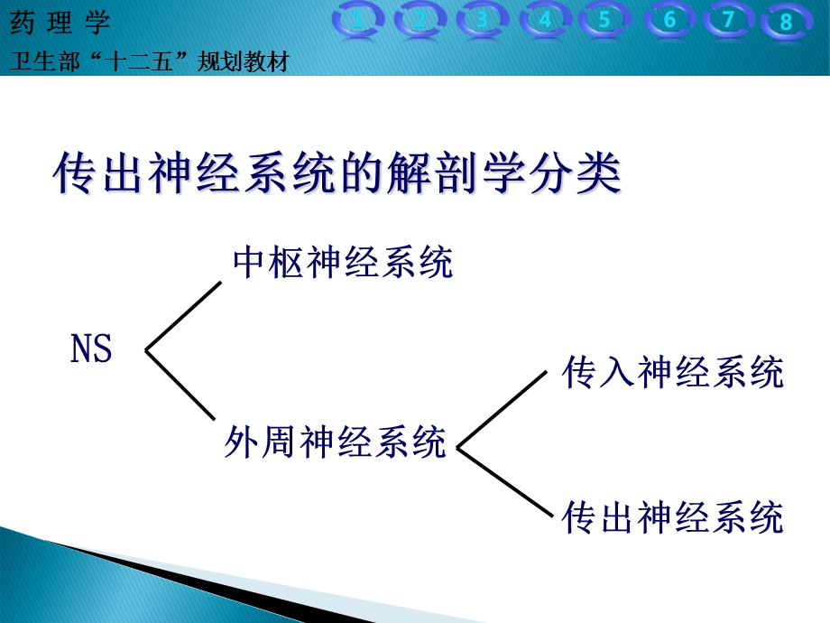 5传出神经系统药理概论文档资料精选文档.ppt_第3页