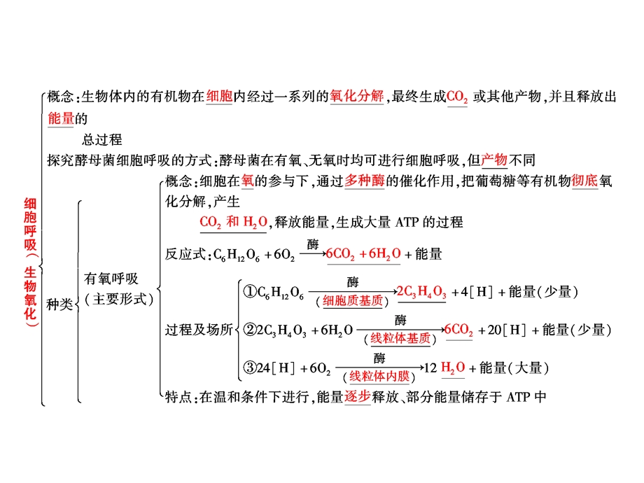 2.3生物名师课堂细胞呼吸文档资料.ppt_第1页