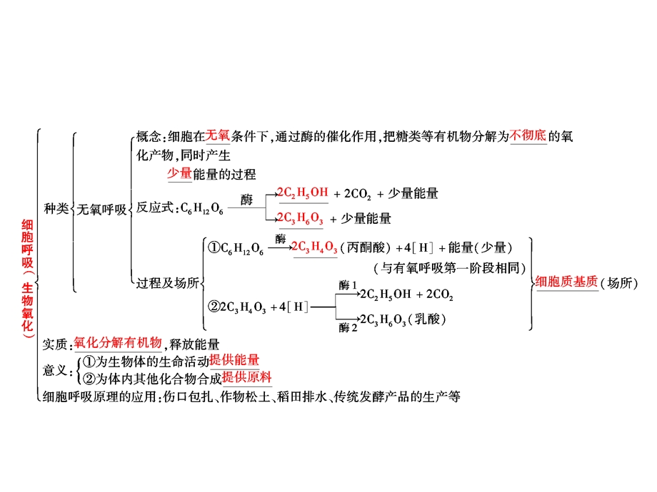 2.3生物名师课堂细胞呼吸文档资料.ppt_第2页