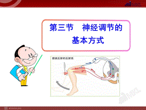 初中生物多媒体教学课件：第6章第3节神经调节的基本方式人教版七年级下册[精选文档].ppt