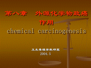 第八章外源化学物致癌作用chemicalcarcinogenesis名师编辑PPT课件.ppt