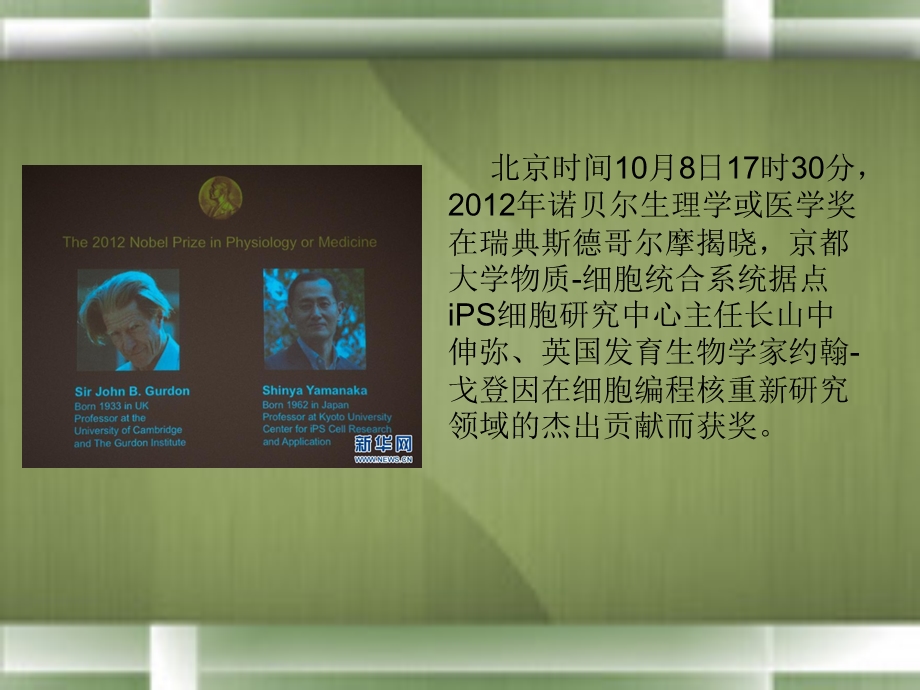 IPS诱导多功能干细胞文档资料.ppt_第1页