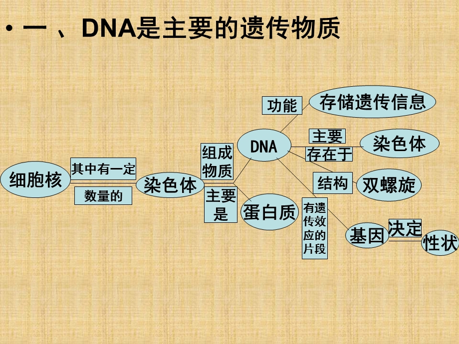 医学课件第15章生物的遗传和变异.ppt_第2页