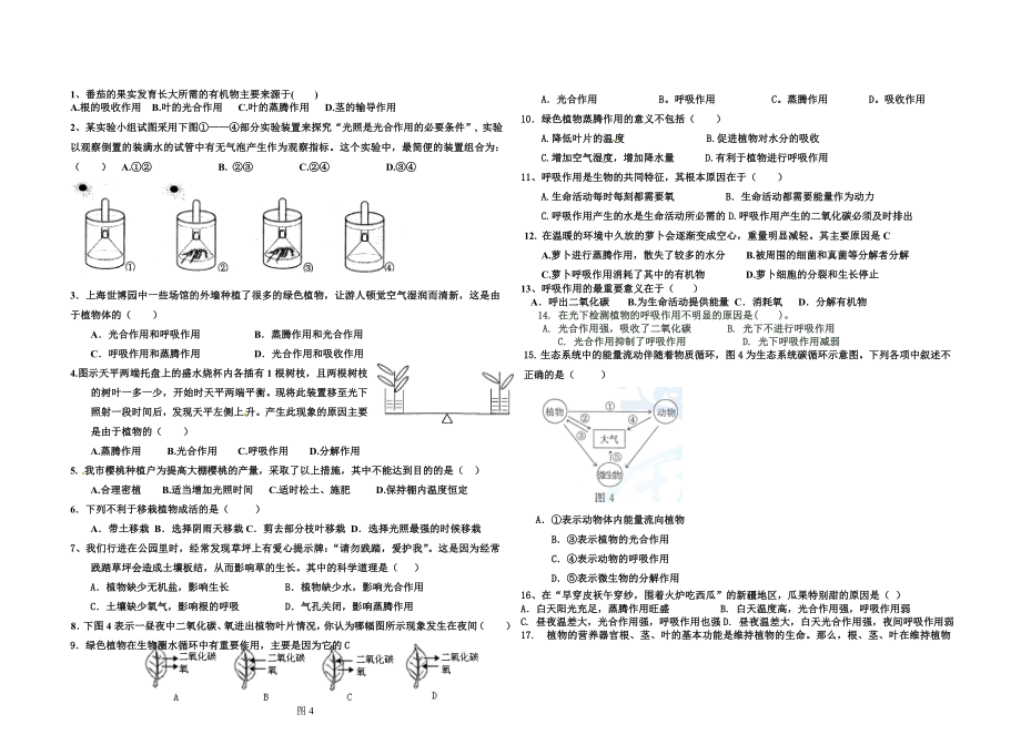 绿色植物的生理过程[精选文档].doc_第1页